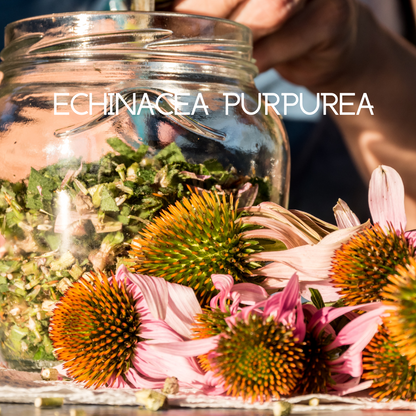 Apoyo Inmunitario de Emergencia